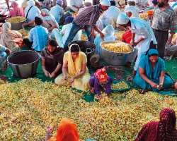 Despite of large amount of lunger served everyday authorities never faced any shortage of labor to cook these meals as there are a number of volunteer